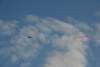 dsc_0432_small.jpg
